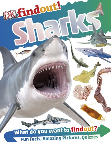 Sharks First American Edition Fowler Sarah L