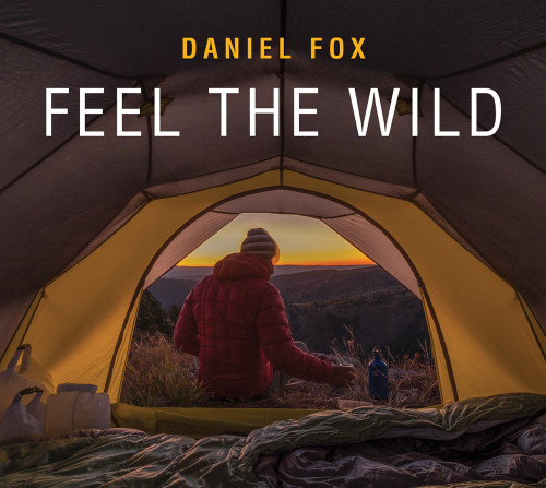 Feel The Wild Fox Daniel