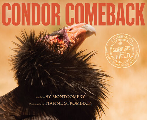 Condor Comeback Sy Montgomery