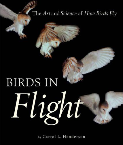 Birds In Flight The Art And Science Of How Birds Fly 1st Carrol L Henderson