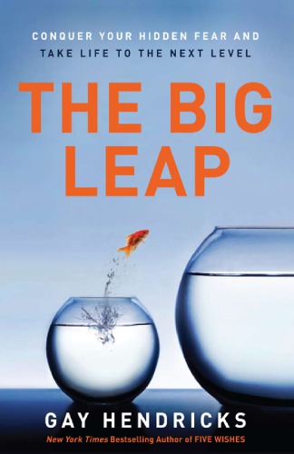 The Big Leap Conquer Your Hidden Fear And Take Life To The Next Level Hendricks