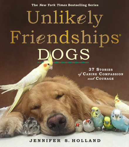 Unlikely Friendships Dogs Jennifer S Holland