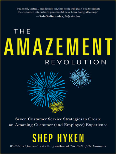 The Amazement Revolution Seven Customer Service Strategies To Create An Amazing Customer And Employee Experience 1st Ed Hyken