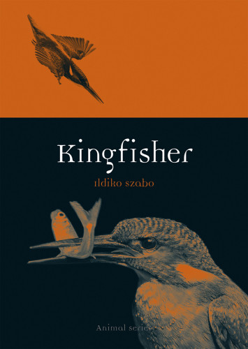 Kingfisher 2nd Edition Szabo Ildiko
