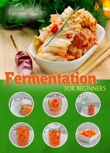 Fermentation For Beginners Jade Helen