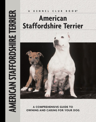 American Staffordshire Terrier Joseph Janish