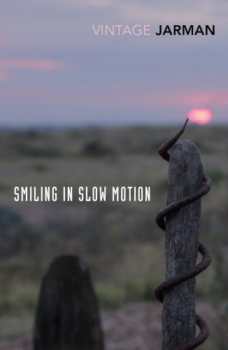 Smiling In Slow Motion Journals 19911994 Jarman Derek