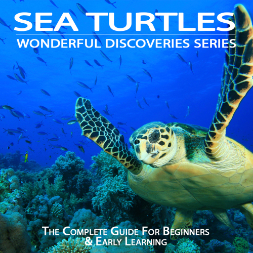 Sea Turtles Julia Cook