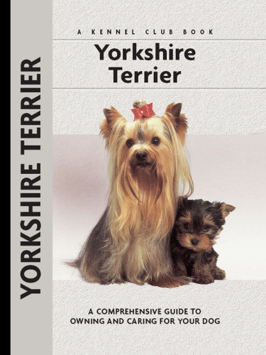 Yorkshire Terrier A Comprehensive Guide To Owning And Caring For Your Dog Keyes