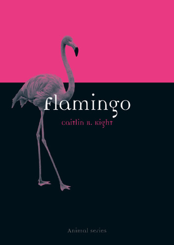 Flamingo Caitlin R Kight