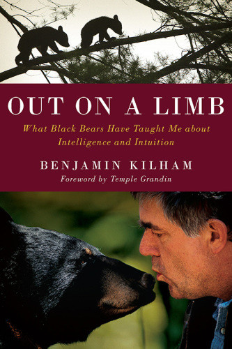 Out On A Limb What Black Bears Taught Me About Intelligence And Intuition Kilham