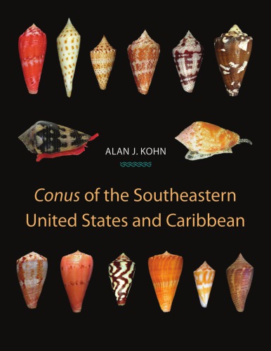 Conus Of The Southeastern United States And Caribbean Kohn Alan J
