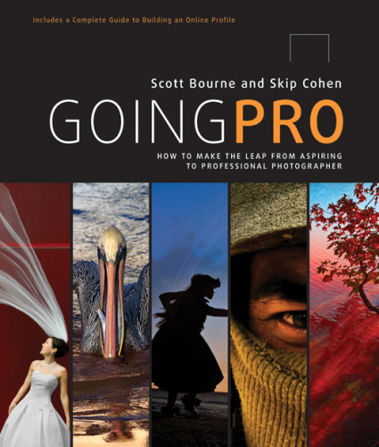 Going Pro How To Make The Leap From Aspiring To Professional Photographer The Photographers Complete Guide To Building An Online Profile From The Ground Up Bourne