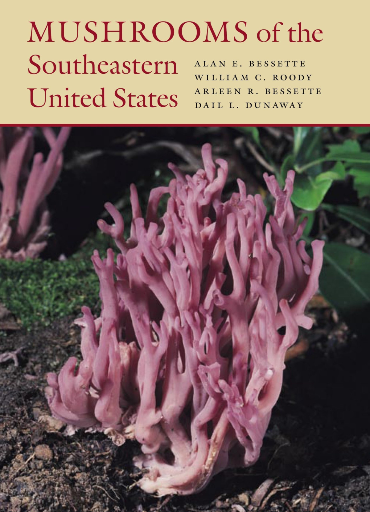 Mushrooms Of The Southeastern United States 1st Ed Bessette Alan