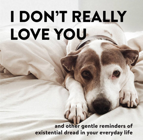 I Dont Really Love You First Edition Alex Beyer