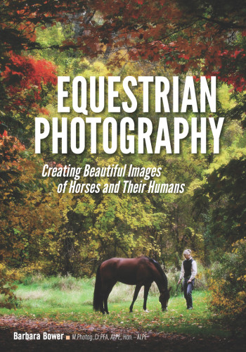 Equestrian Photography Barbara Bower