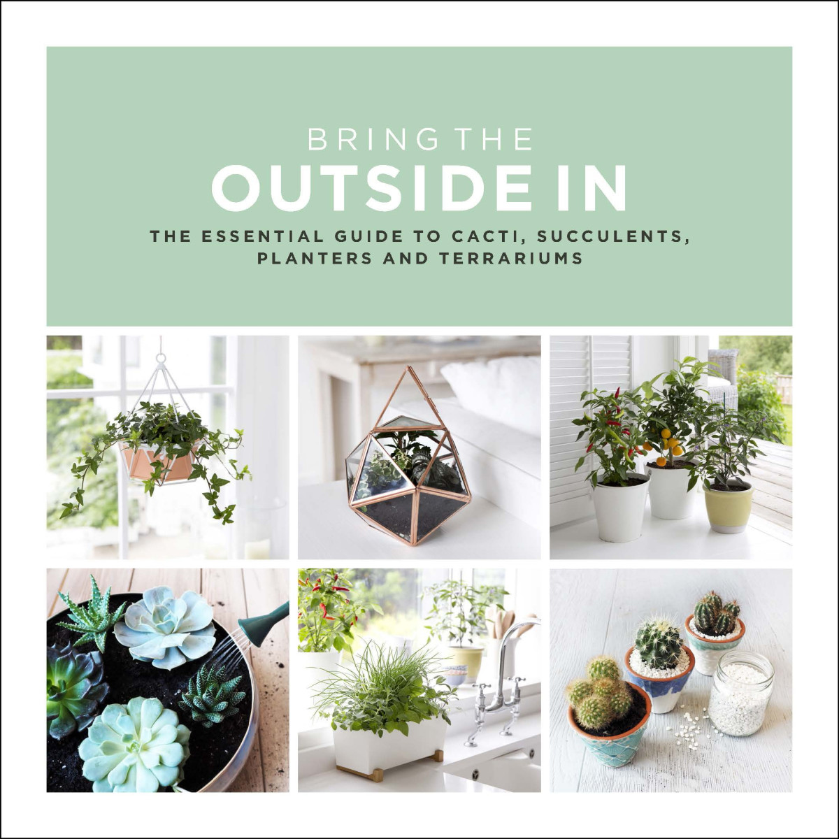 Bring The Outside In The Essential Guide To Cacti Succulents Planters And Terrariums Bradley