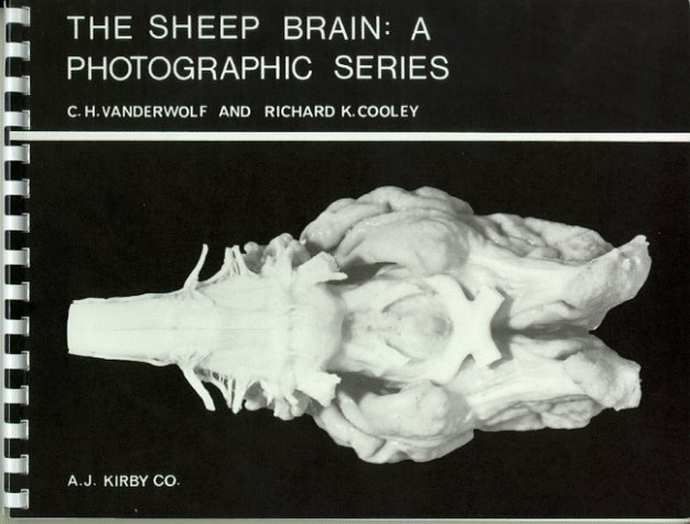 The Sheep Brain A Photographic Series C H Vanderwolf Richard K Cooley
