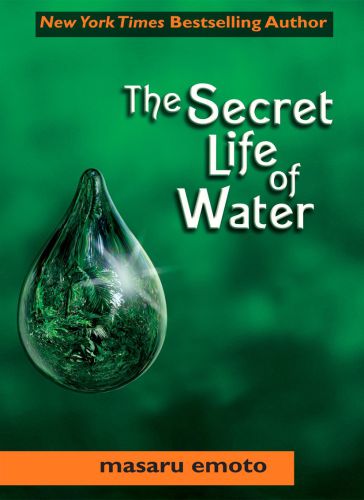 Secret Life Of Water Illustrated Masaru Emoto