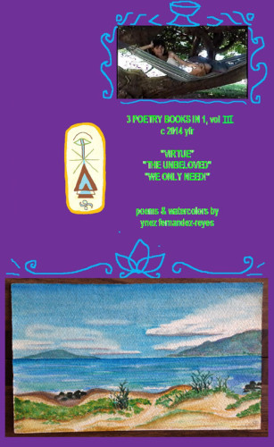 3 Poetry Books In 1 Vol Iii Virtue The Unbeloved We Only Need Fernandezreyes