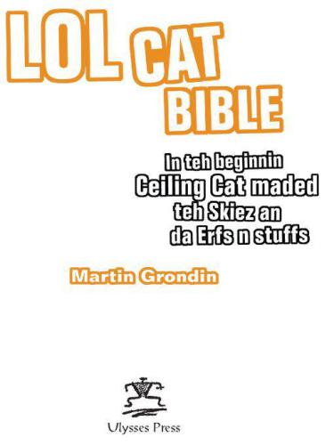 Lolcat Bible In Teh Beginnin Ceiling Cat Maded Teh Skiez An Da Urfs N Stuffs Grondin