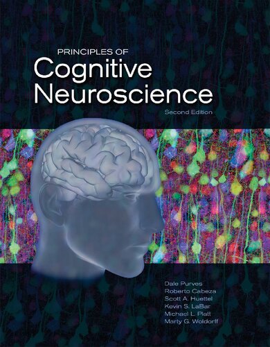 Principles Of Cognitive Neuroscience 2nd Edition Dale Purvas