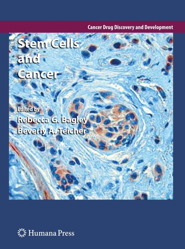 Stem Cells And Cancer 1st Edition Kimberly E Foreman Paola Rizzo