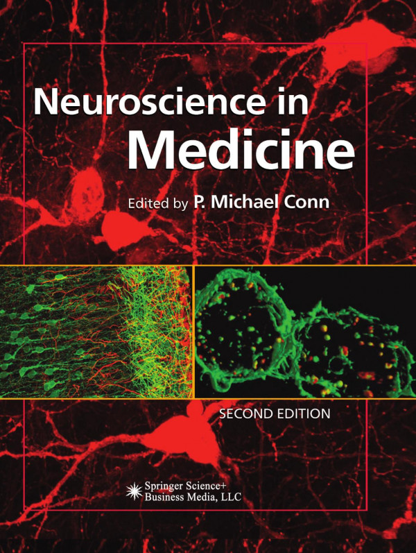 Neuroscience In Medicine Rochelle S Cohen Donald W Pfaff Auth