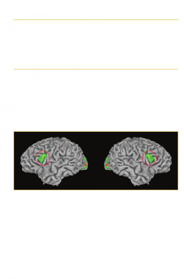 Mirror Neuron Systems The Role Of Mirroring Processes In Social Cognition 1st Edition Christian Keysers