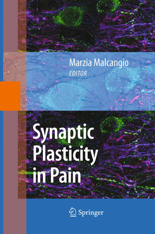 Synaptic Plasticity In Pain 1st Edition Andrew J Todd Auth