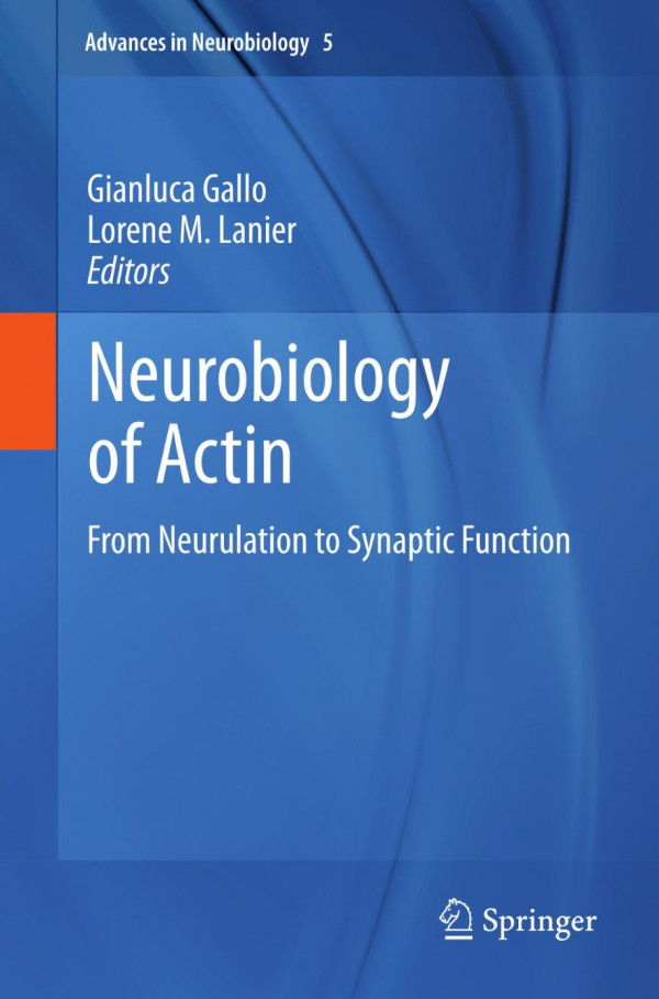 Neurobiology Of Actin From Neurulation To Synaptic Function 1st Edition Gianluca Gallo Auth