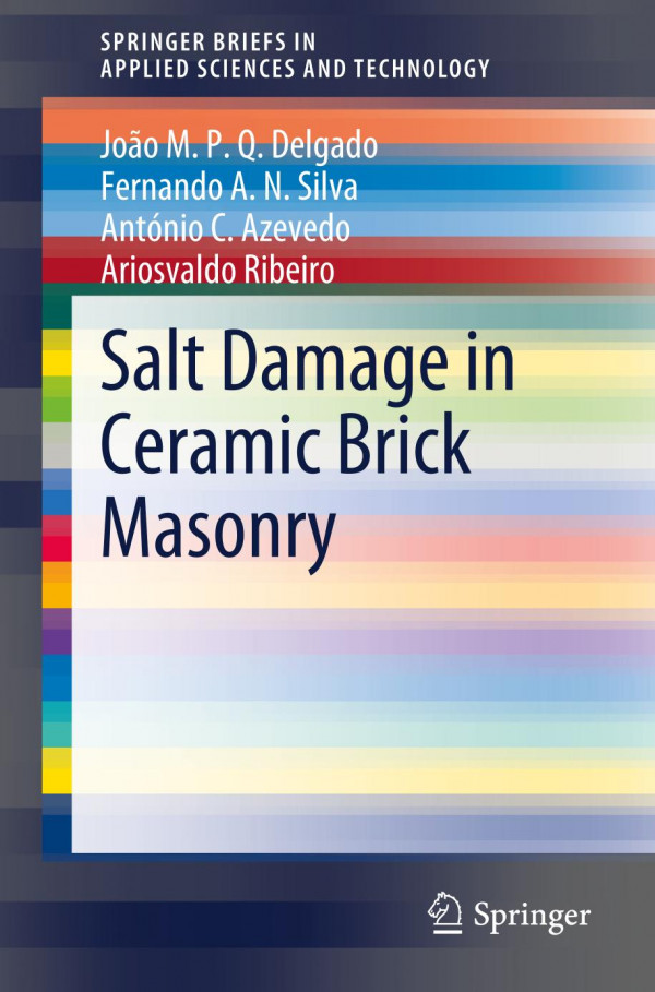 Salt Damage In Ceramic Brick Masonry 1st Ed João Mpq Delgado