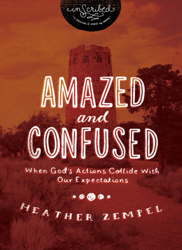 Amazed And Confused When Gods Actions Collide With Our Expectations Zempel