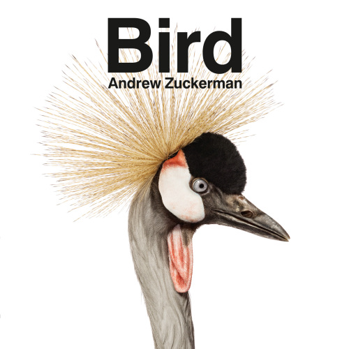 Bird Zuckerman Andrew