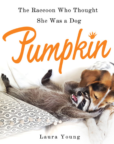 Pumpkinthe Raccoon Who Thought She Was A Dog First Edition Young