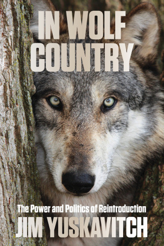 In Wolf Country The Power And Politics Of Reintroduction Yuskavitch