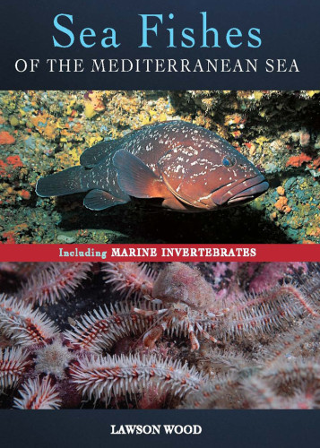 Sea Fishes Of The Mediterranean Including Marine Invertebrates Wood