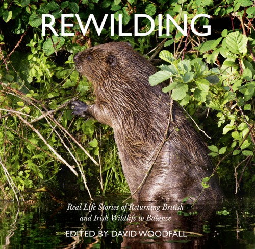 Rewilding Real Life Stories Of Returning British And Irish Wildlife To Balance David Woodfall