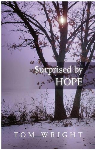 Surprised By Hope Original Provocative And Practical Wright