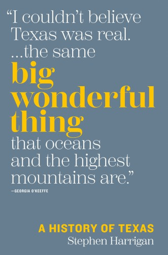 Big Wonderful Thing First Edition Stephen Harrigan