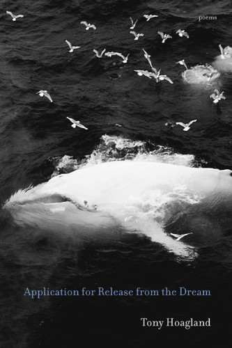 Application For Release From The Dream Poems Tony Hoagland