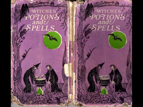 Witches Pbk Ed Jong Erica