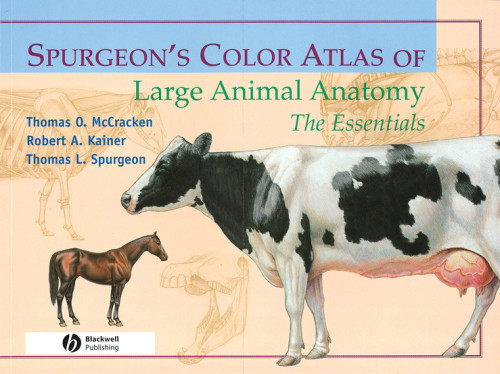 Spurgeons Color Atlas Of Large Animal Anatomy The Essentials Kainer