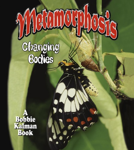 Metamorphosis Changing Bodies Kalman Bobbie