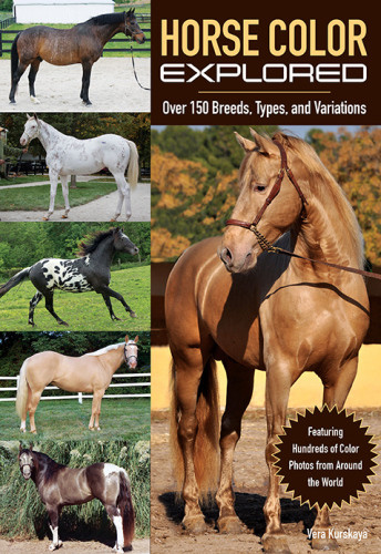 Horse Color Explored Over 150 Breeds Types And Variations Translation Kurskaya