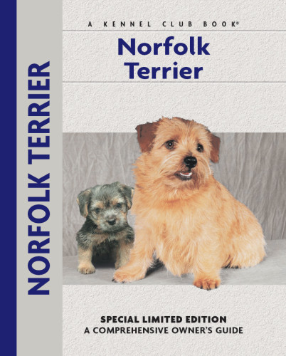 Norfolk Terrier Lee Muriel P