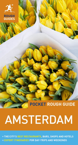 Pocket Rough Guide Amsterdam Lee Phildunford Martin