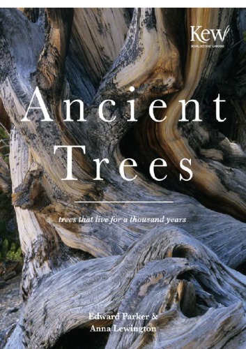 Ancient Trees Trees That Live For A Thousand Years Anna Lewington