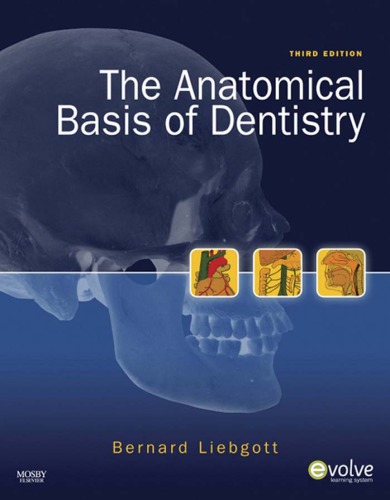 The Anatomical Basis Of Dentistry 3e Edition Liebgott Bernard