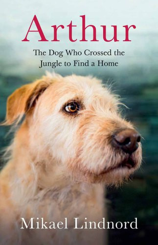 Arthur The Dog Who Crossed The Jungle To Find A Home Lindnord